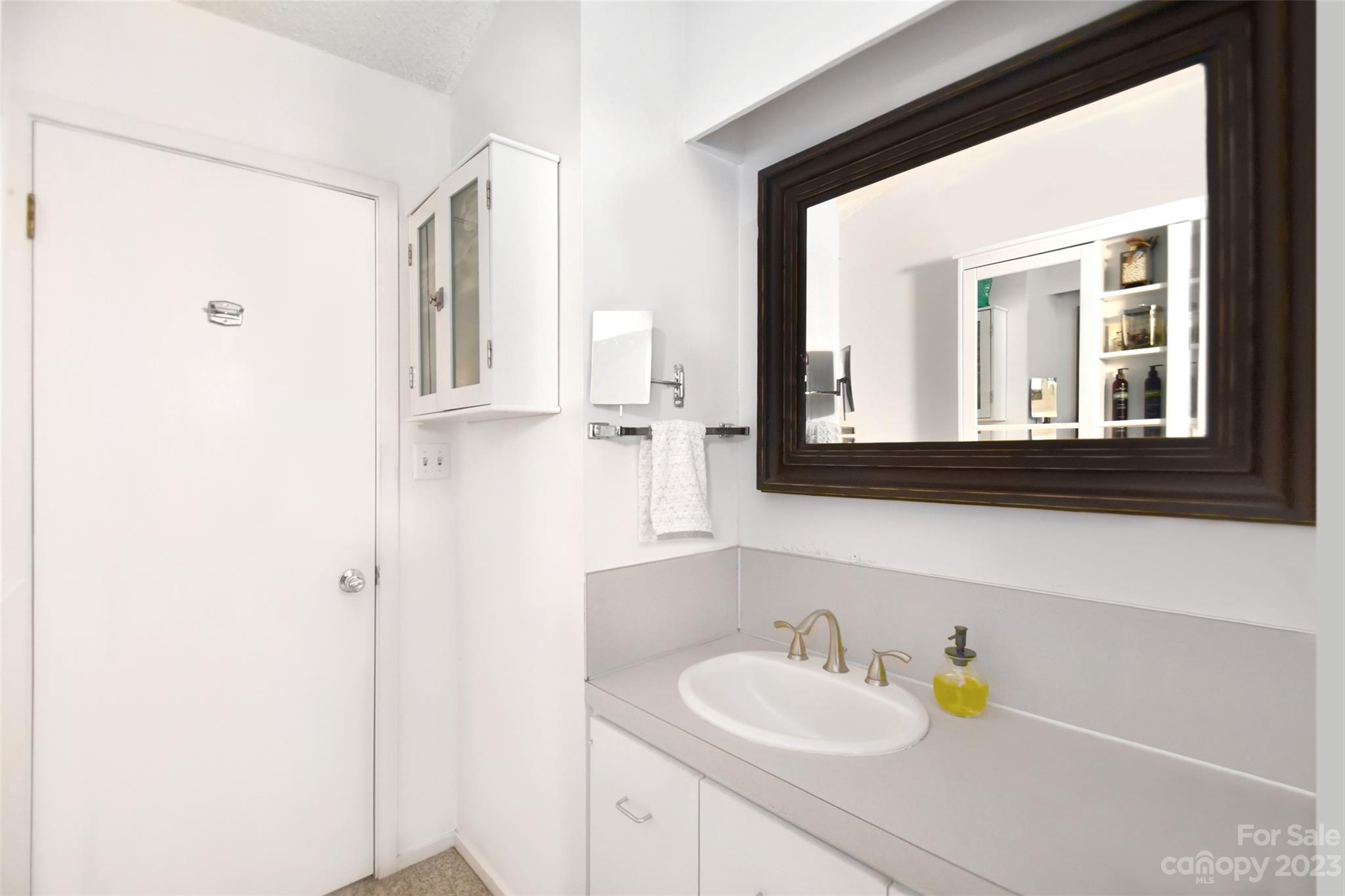 19201 Davidson-Concord Road Davidson, NC 28036 - Photo 15 of 47 a bathroom with a sink and a mirror