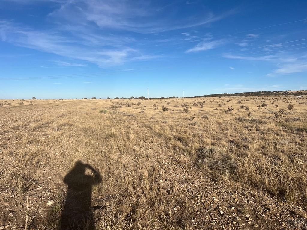 66 A Turkey Ridge Ranch Walsenburg, CO 81089 - Photo 7 of 13
