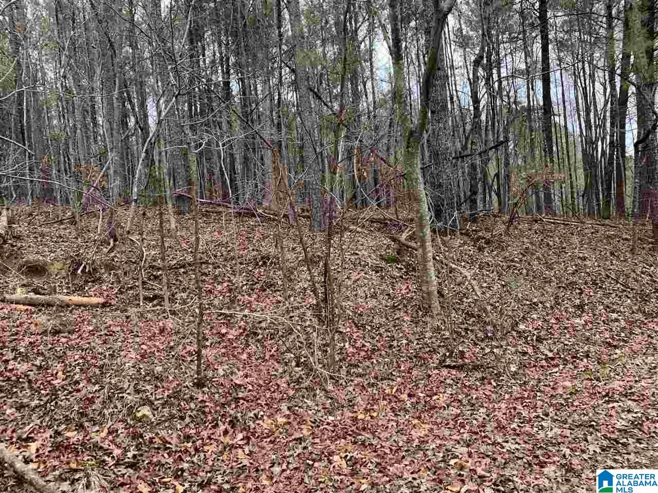 0 John Owens Road, Unit 2 12 Trussville, AL 35173 - Photo 1 of 5