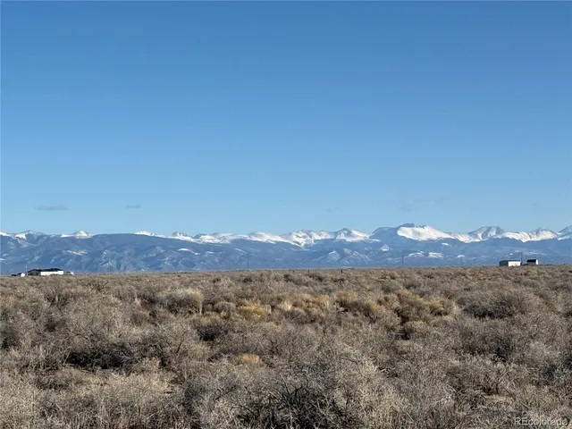 a view of a large tree