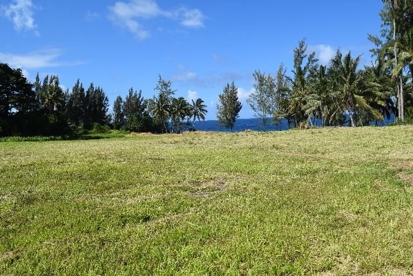 24 Lot Pepeekeo, HI 96783 - Photo 5 of 18