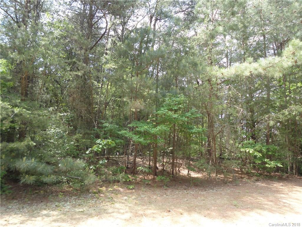 4868 Slanting Bridge Road, Unit 41 Sherrills Ford, NC 28673 - Photo 1 of 11 Gallery Image 1