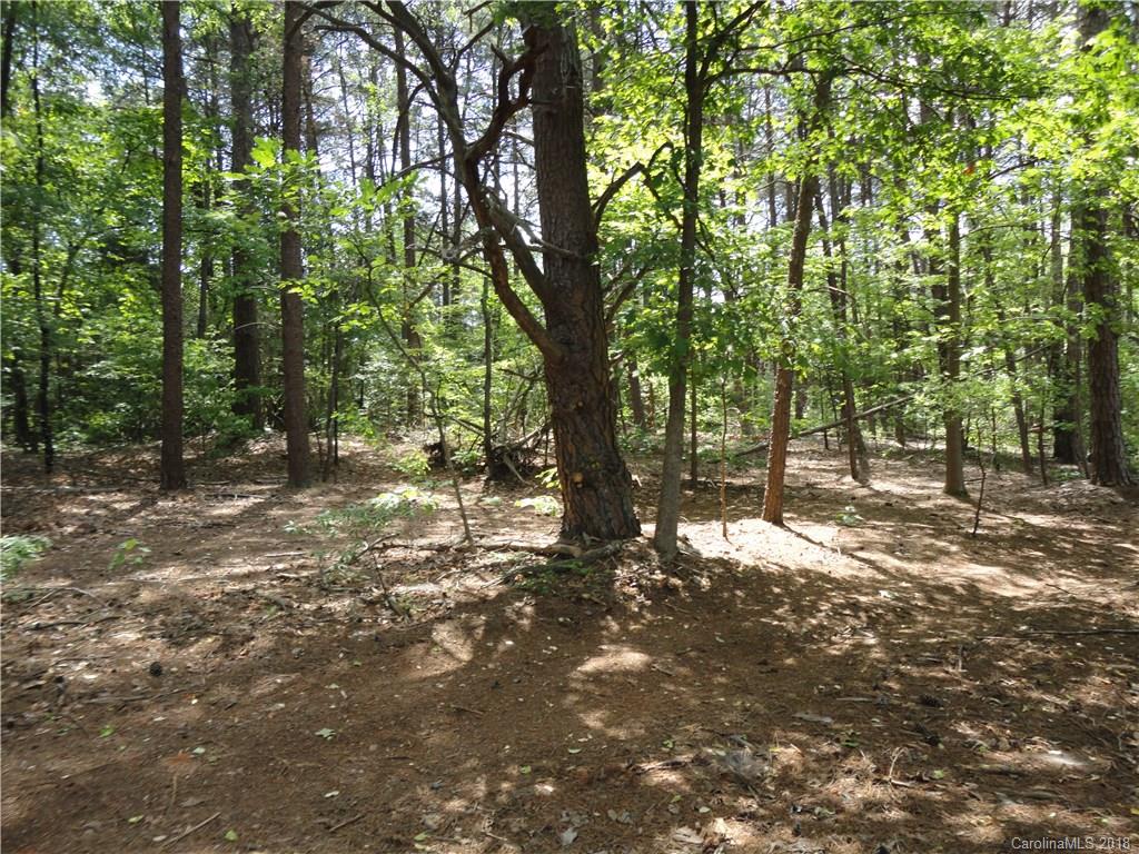 4868 Slanting Bridge Road, Unit 41 Sherrills Ford, NC 28673 - Photo 2 of 11 Gallery Image 2