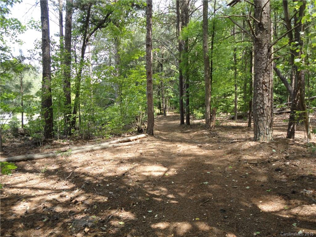 4868 Slanting Bridge Road, Unit 41 Sherrills Ford, NC 28673 - Photo 3 of 11 Gallery Image 3