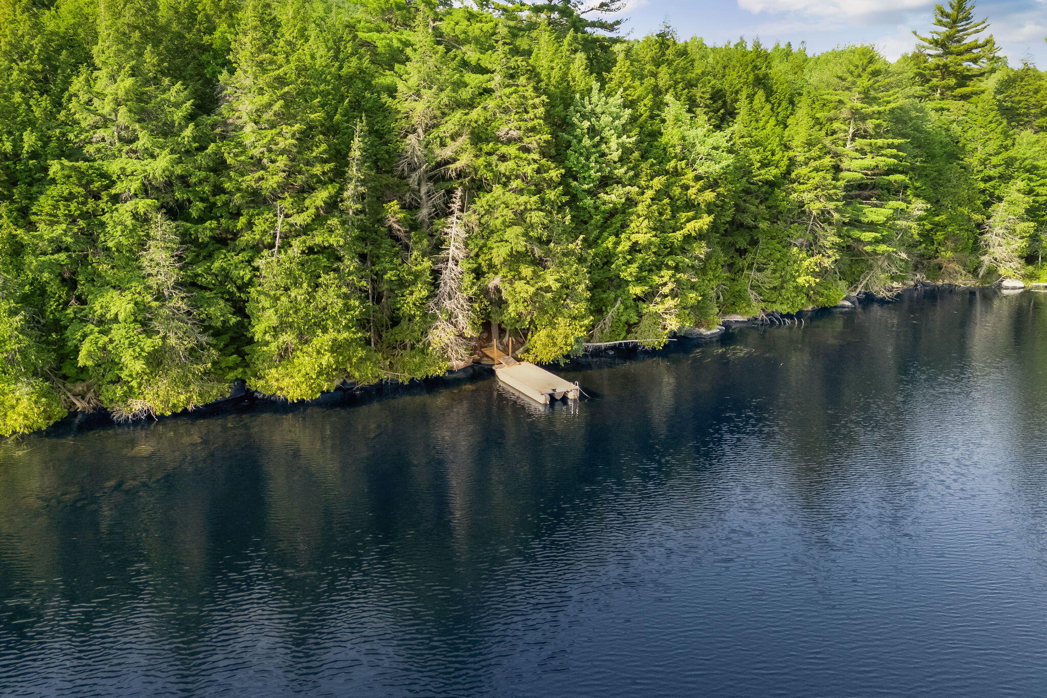 Lot 1-3 Bill Green Road Lee, ME 04455 - Photo 59 of 65 63-web-or-mls-bill-green-pond-rd