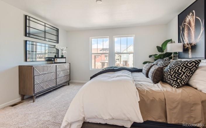 8156 Mount Ouray Road Littleton, CO 80125 - Photo 15 of 22 Gallery Image 15