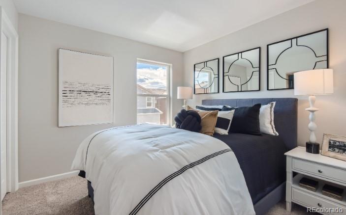 8156 Mount Ouray Road Littleton, CO 80125 - Photo 17 of 22 Gallery Image 17