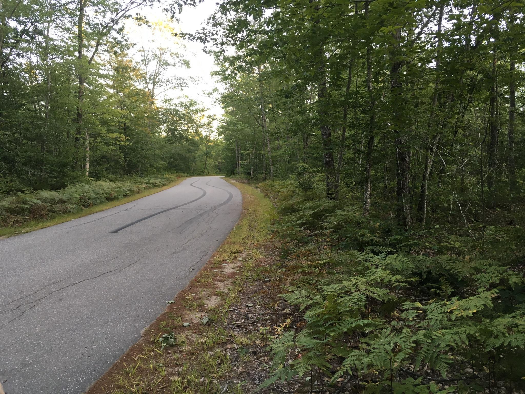 32-acres Sand Pond Road East Baldwin, ME 04024 - Photo 11 of 11 F38E0954-CB85-4A99-A05C-614EB9036656