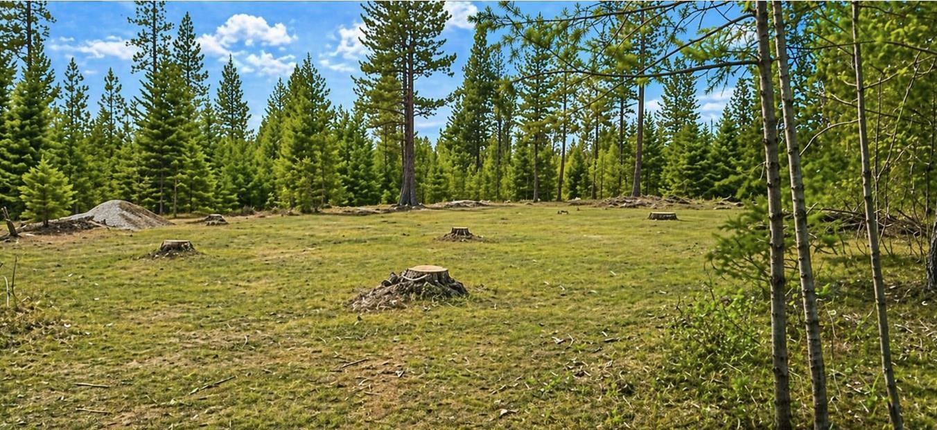 6833B Drum Road Wellpinit, WA 99040 - Photo 2 of 7