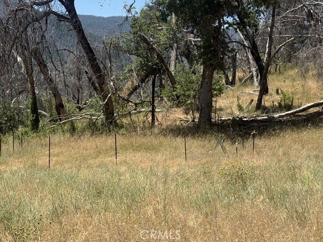 24 North 35 Road Covelo, CA 95428 - Photo 35 of 41 Garden area