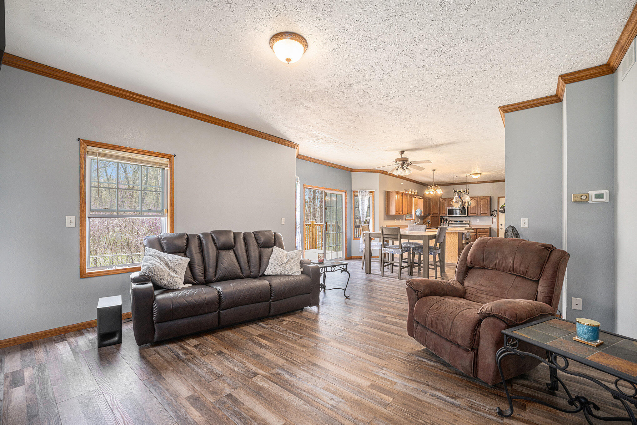 70219 South River Road White Pigeon, MI 49099 - Photo 4 of 24 003_dsc09923_229