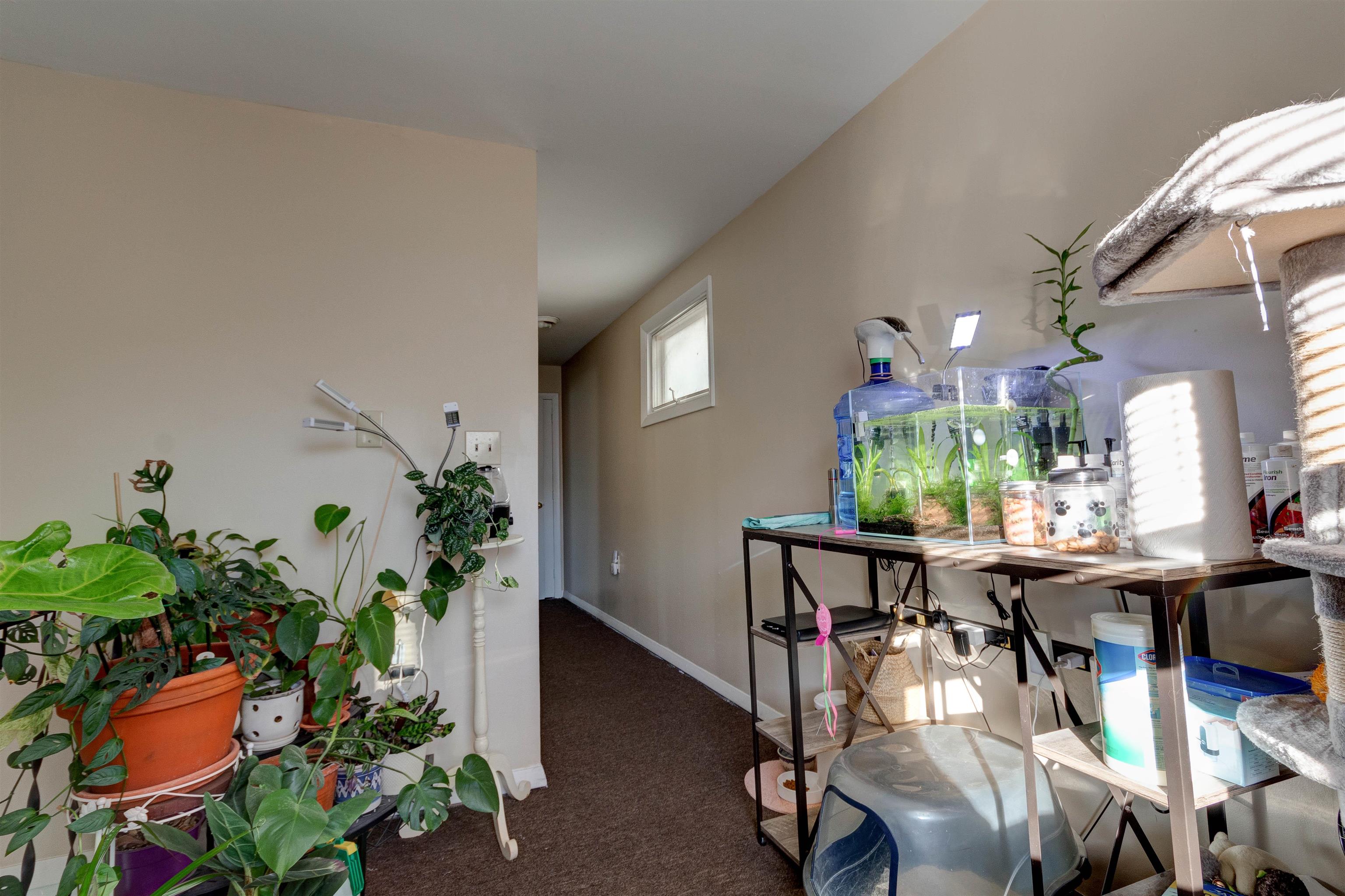 357 Amherst Street Manchester, NH 03104 - Photo 17 of 31 Gallery Image 17