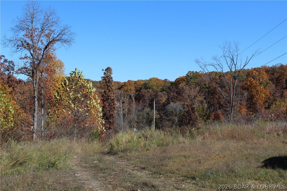 382 Spring Cove Road Sunrise Beach, MO 65079 - Photo 16 of 27