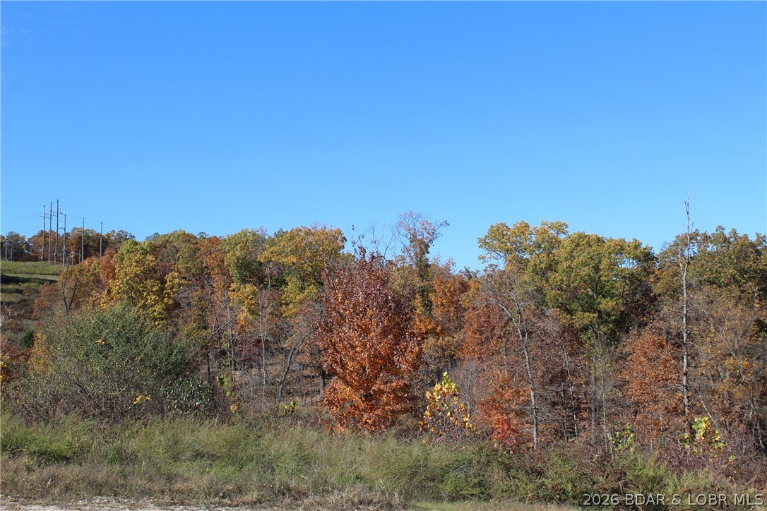 382 Spring Cove Road Sunrise Beach, MO 65079 - Photo 17 of 27