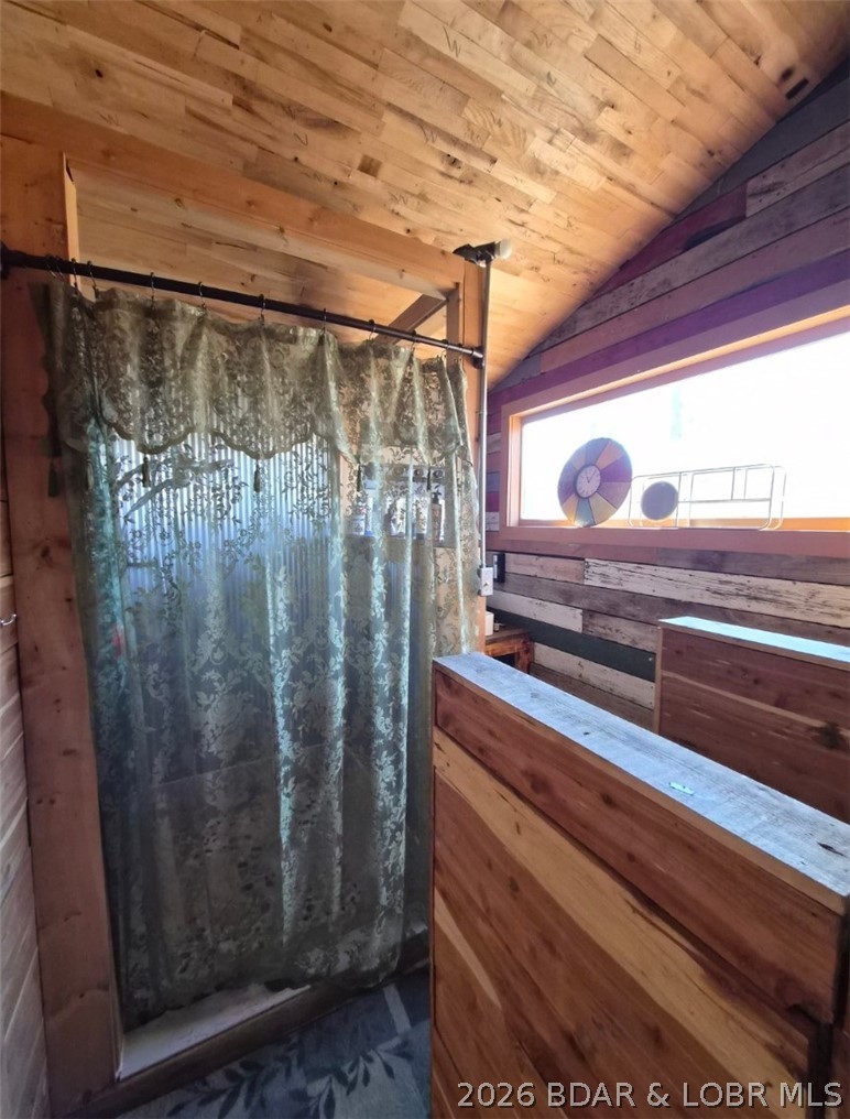 382 Spring Cove Road Sunrise Beach, MO 65079 - Photo 23 of 27