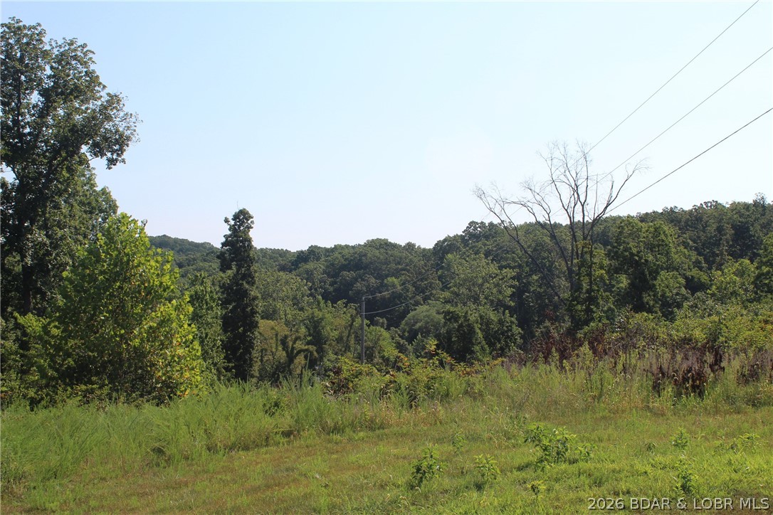 382 Spring Cove Road Sunrise Beach, MO 65079 - Photo 5 of 27