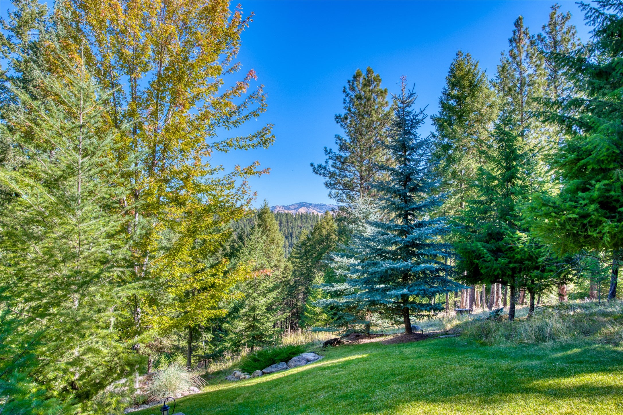541 Ravenwood Road Darby, MT 59829 - Photo 95 of 97 Gallery Image 95