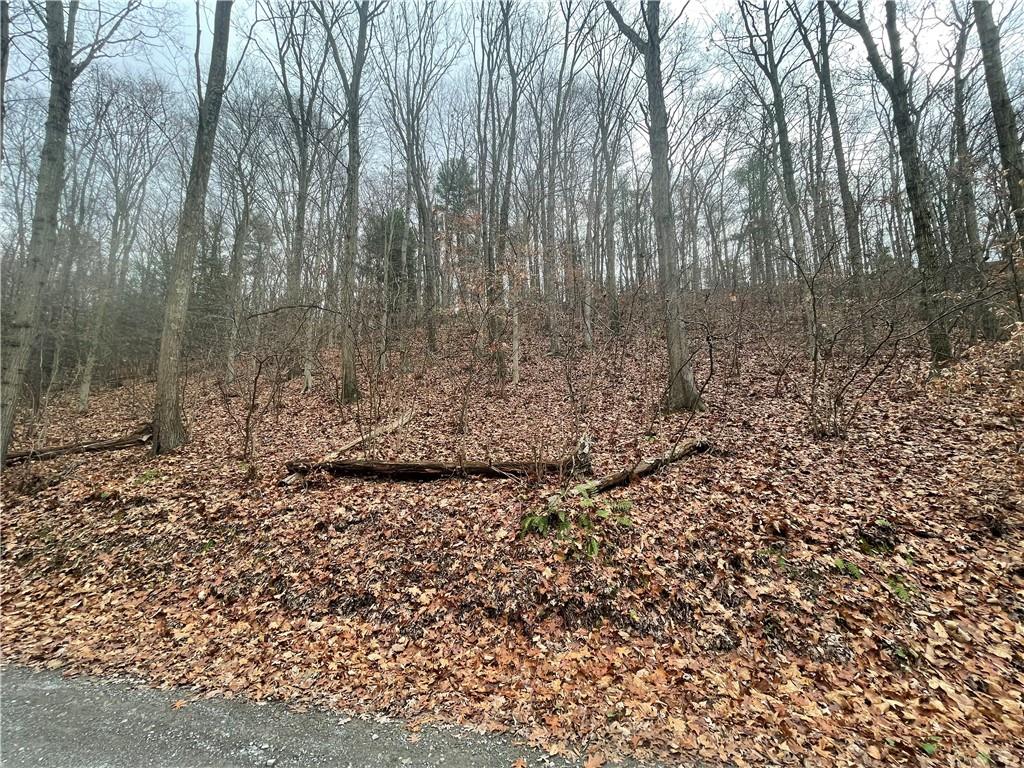 0 Newman Road Clinton, PA 15026 - Photo 1 of 16 Gallery Image 1