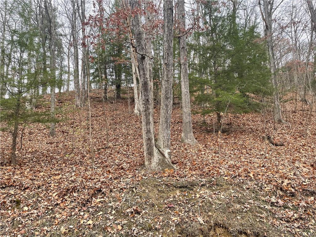 0 Newman Road Clinton, PA 15026 - Photo 11 of 16 Gallery Image 11