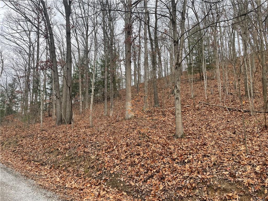 0 Newman Road Clinton, PA 15026 - Photo 12 of 16 Gallery Image 12