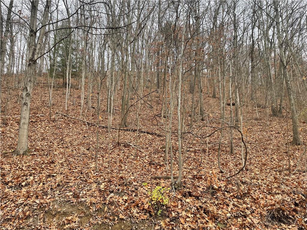 0 Newman Road Clinton, PA 15026 - Photo 13 of 16 Gallery Image 13