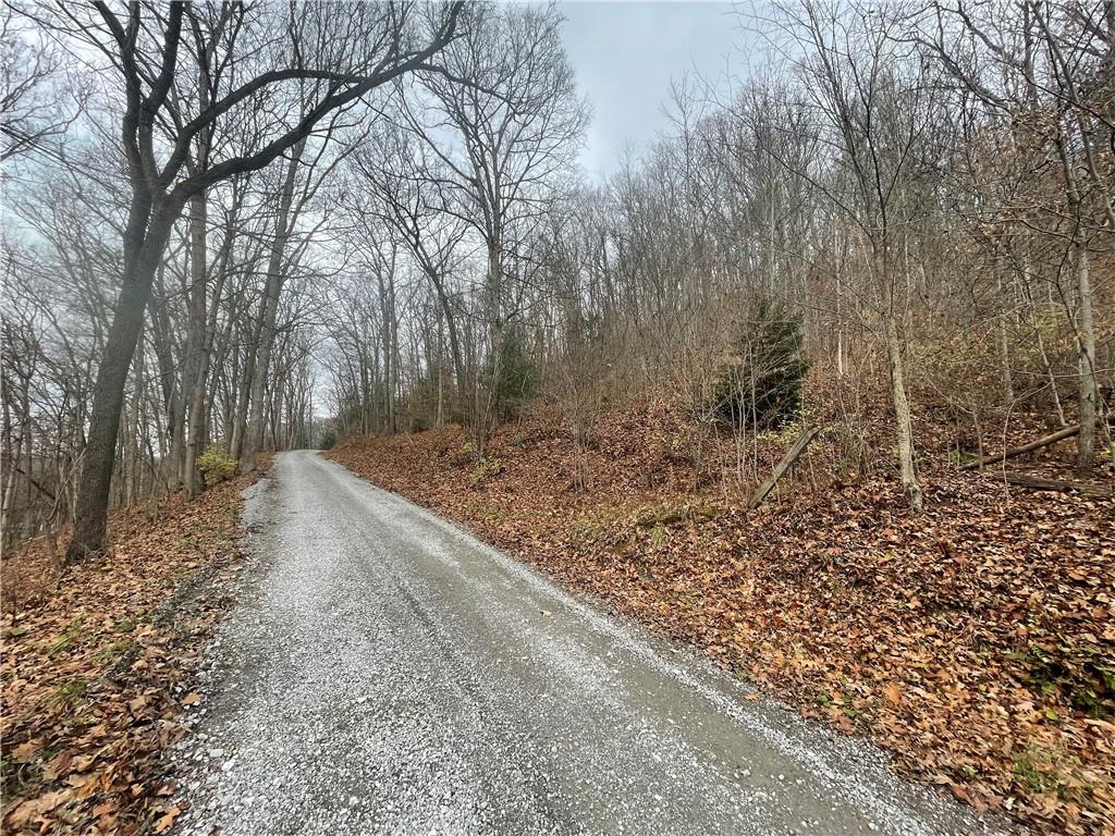 0 Newman Road Clinton, PA 15026 - Photo 14 of 16 Gallery Image 14