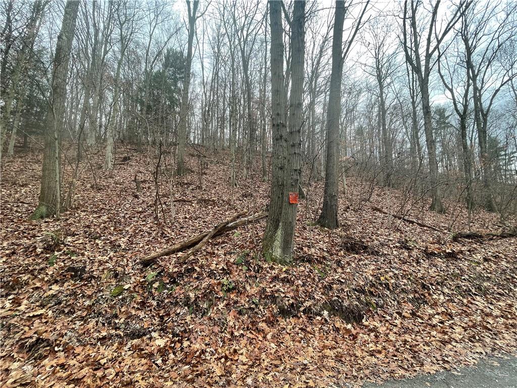0 Newman Road Clinton, PA 15026 - Photo 3 of 16 Gallery Image 3