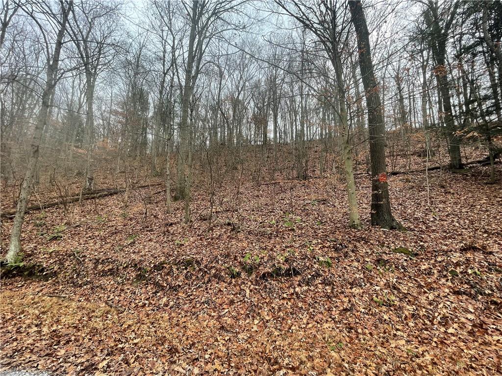0 Newman Road Clinton, PA 15026 - Photo 4 of 16 Gallery Image 4