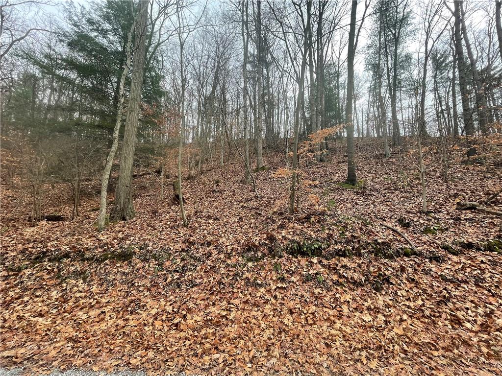 0 Newman Road Clinton, PA 15026 - Photo 5 of 16 Gallery Image 5