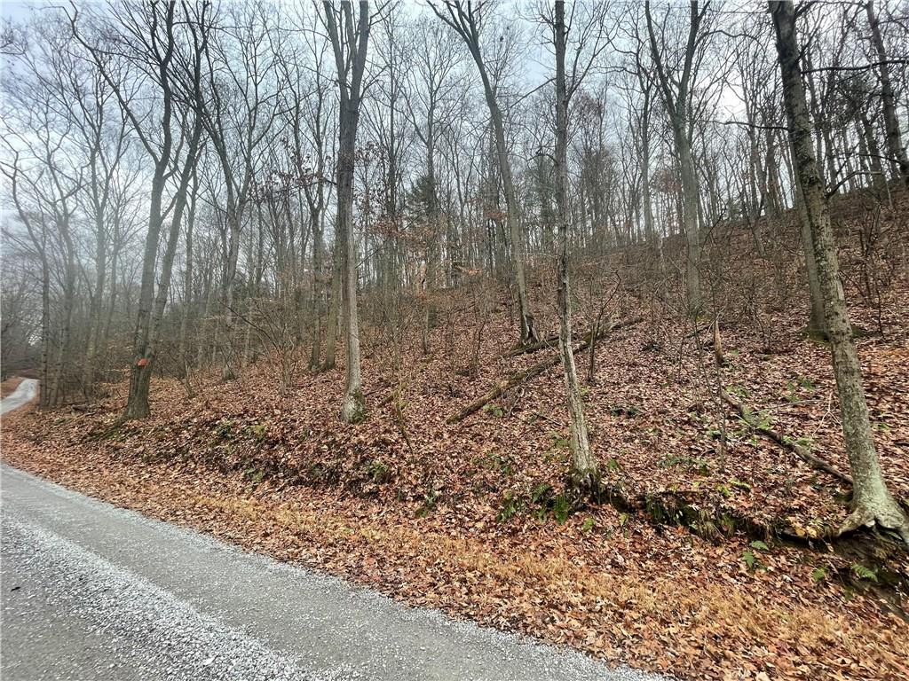 0 Newman Road Clinton, PA 15026 - Photo 6 of 16 Gallery Image 6