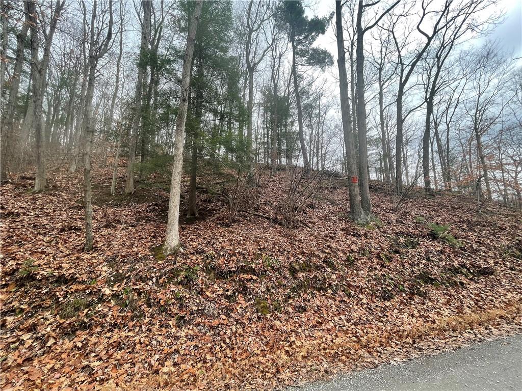0 Newman Road Clinton, PA 15026 - Photo 7 of 16 Gallery Image 7