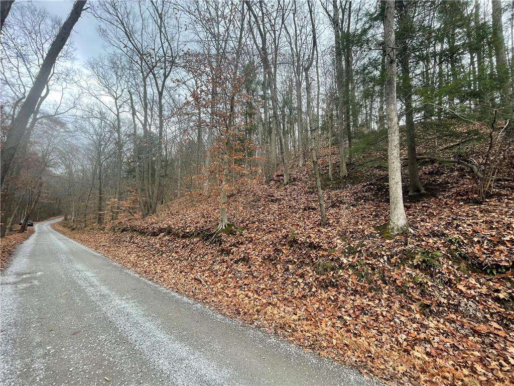 0 Newman Road Clinton, PA 15026 - Photo 8 of 16 Gallery Image 8
