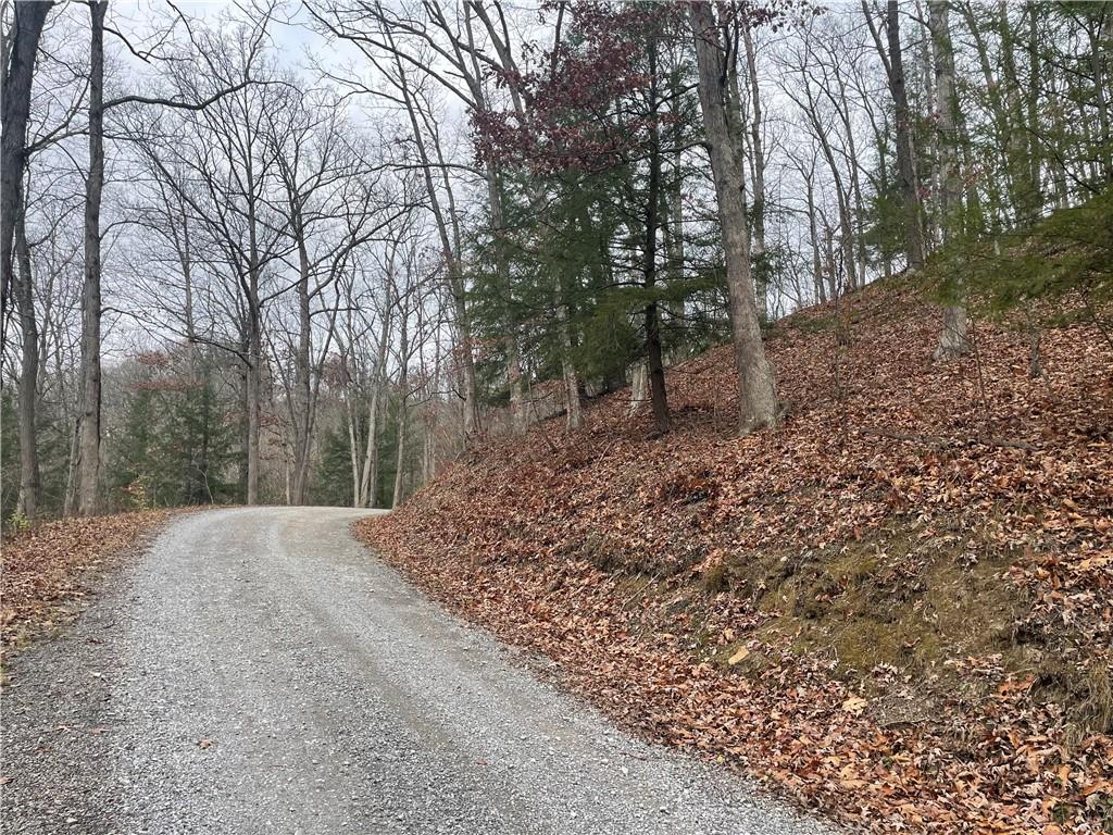 0 Newman Road Clinton, PA 15026 - Photo 10 of 16 Gallery Image 10