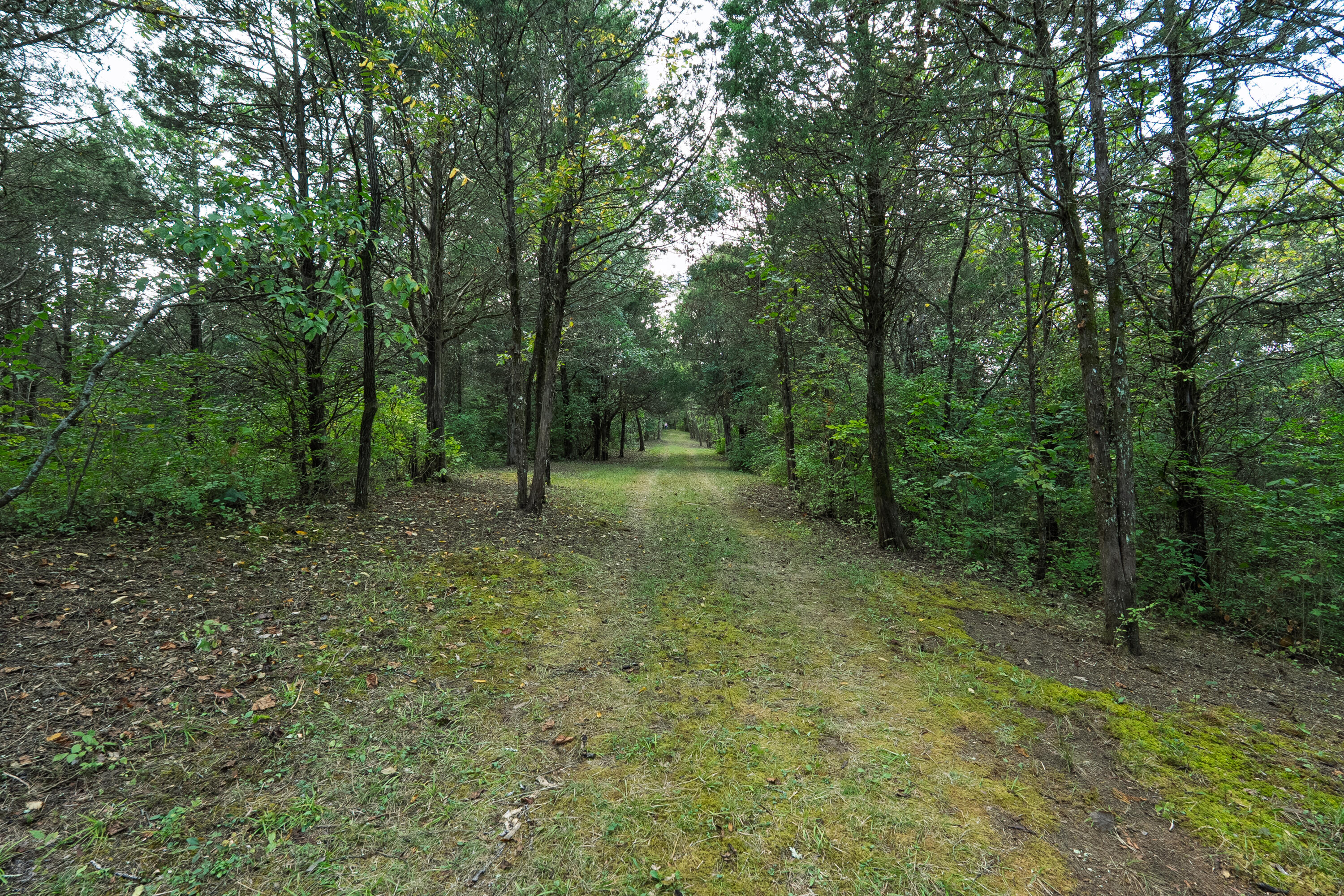 3926 Hogg Ridge Road Williamstown, KY 41097 - Photo 54 of 92 Hogg3846-13