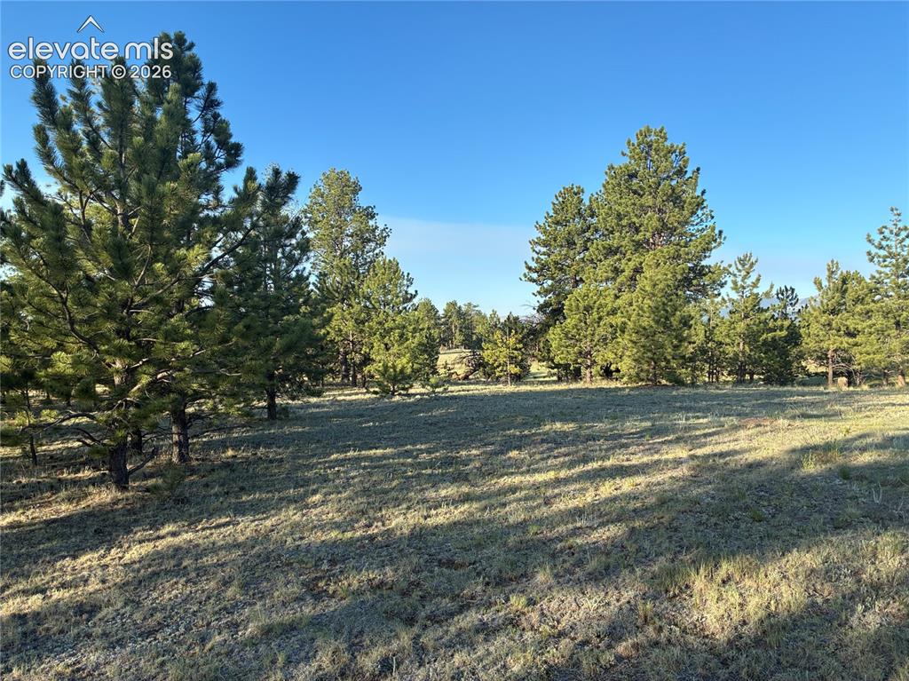 Tbd Doe Valley Road Guffey, CO 80820 - Photo 13 of 19 Meadows and grasses. Ready for your horses, cattle, or expand your dreams and build your new home.