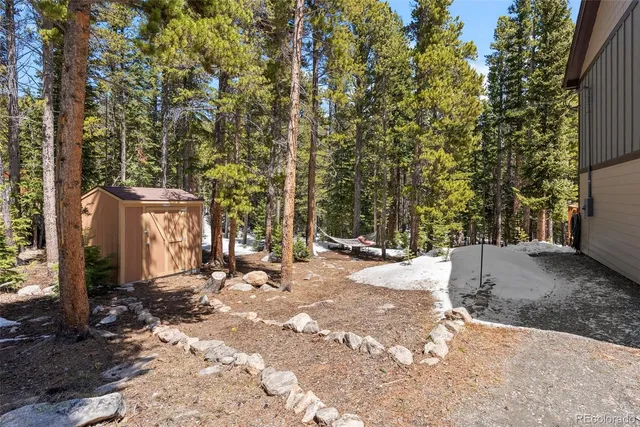 a street view with large trees