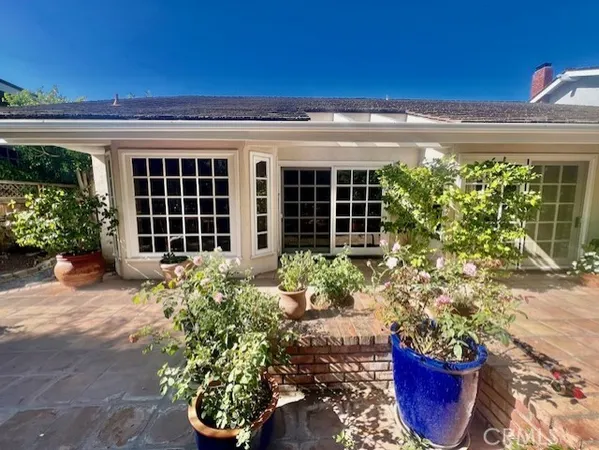 a couple of potted plants in front of a house