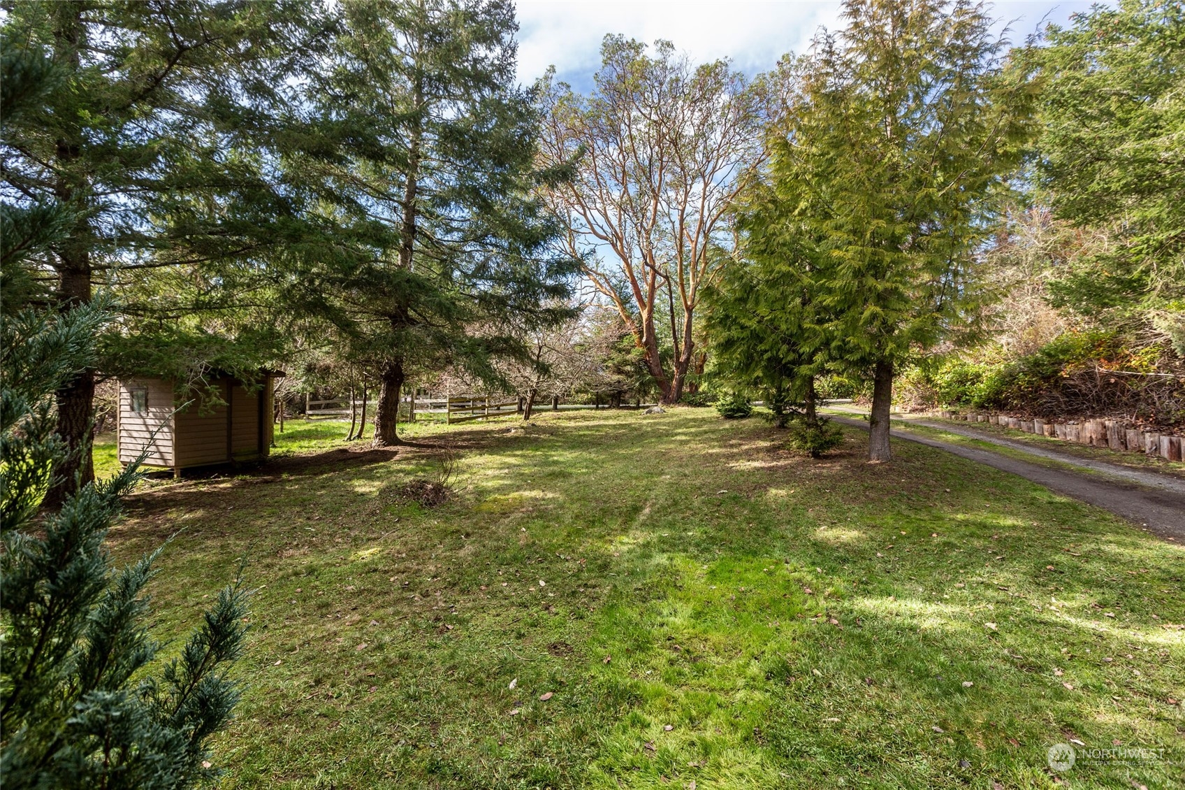 198 Ridgedale Road Friday Harbor, WA 98250 - Photo 19 of 39 a view of outdoor space with trees