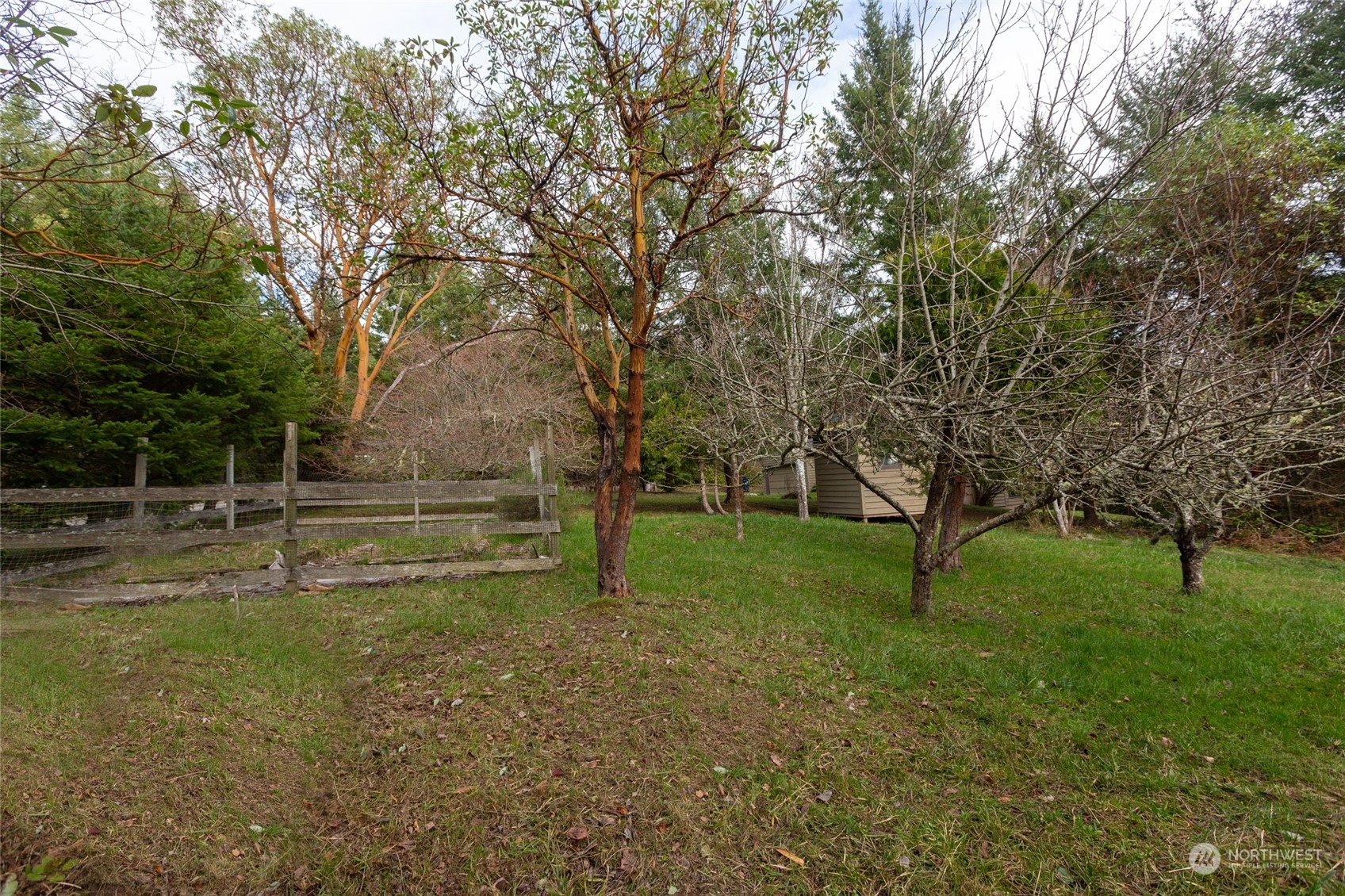198 Ridgedale Road Friday Harbor, WA 98250 - Photo 20 of 39 a view of yard with tree s