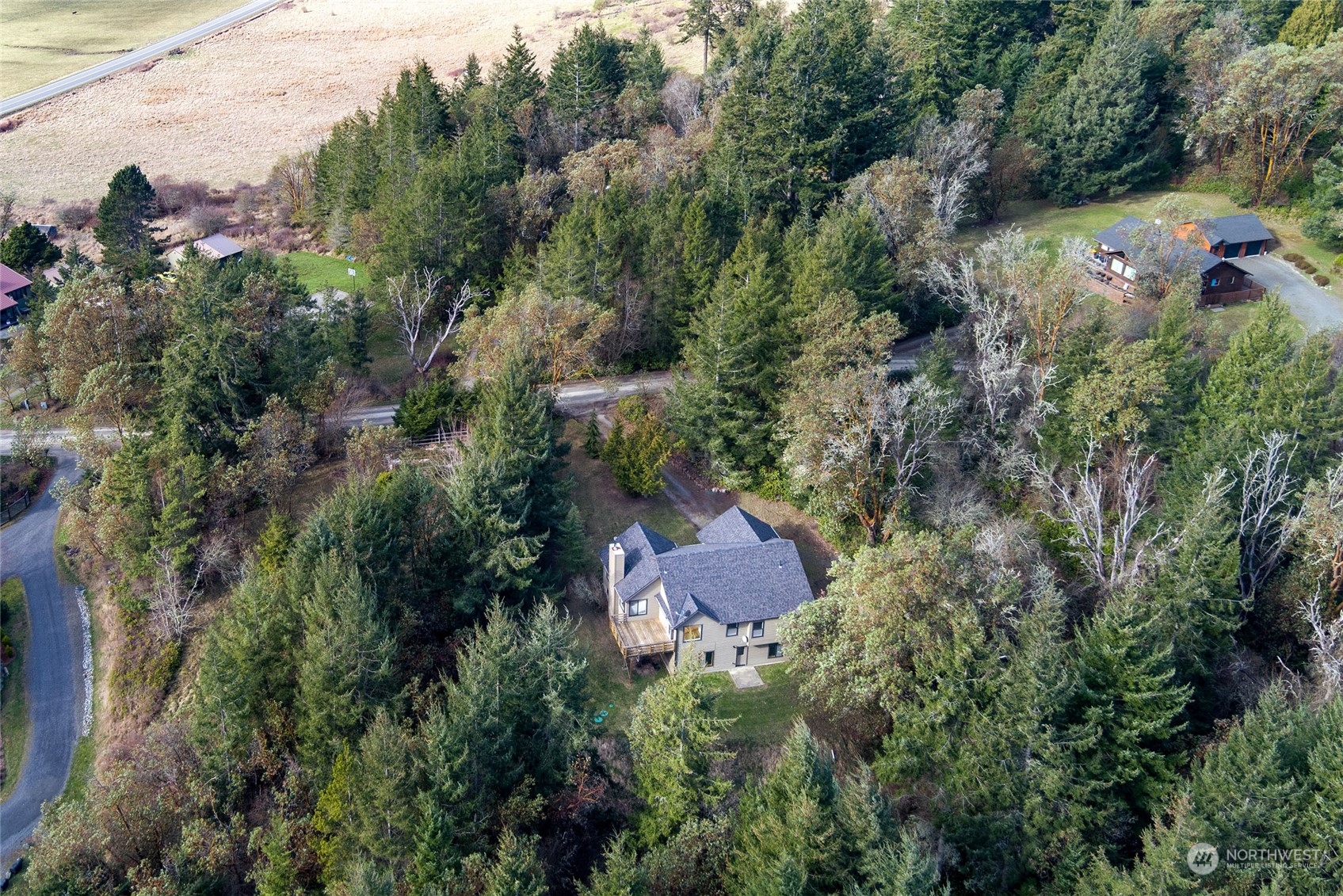 198 Ridgedale Road Friday Harbor, WA 98250 - Photo 21 of 39 an aerial view of house with outdoor space and trees all around