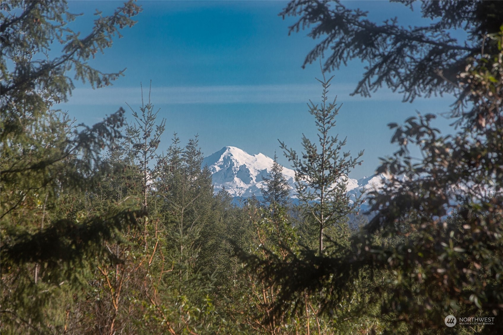 198 Ridgedale Road Friday Harbor, WA 98250 - Photo 3 of 39 a view of a tree with a flower in a garden