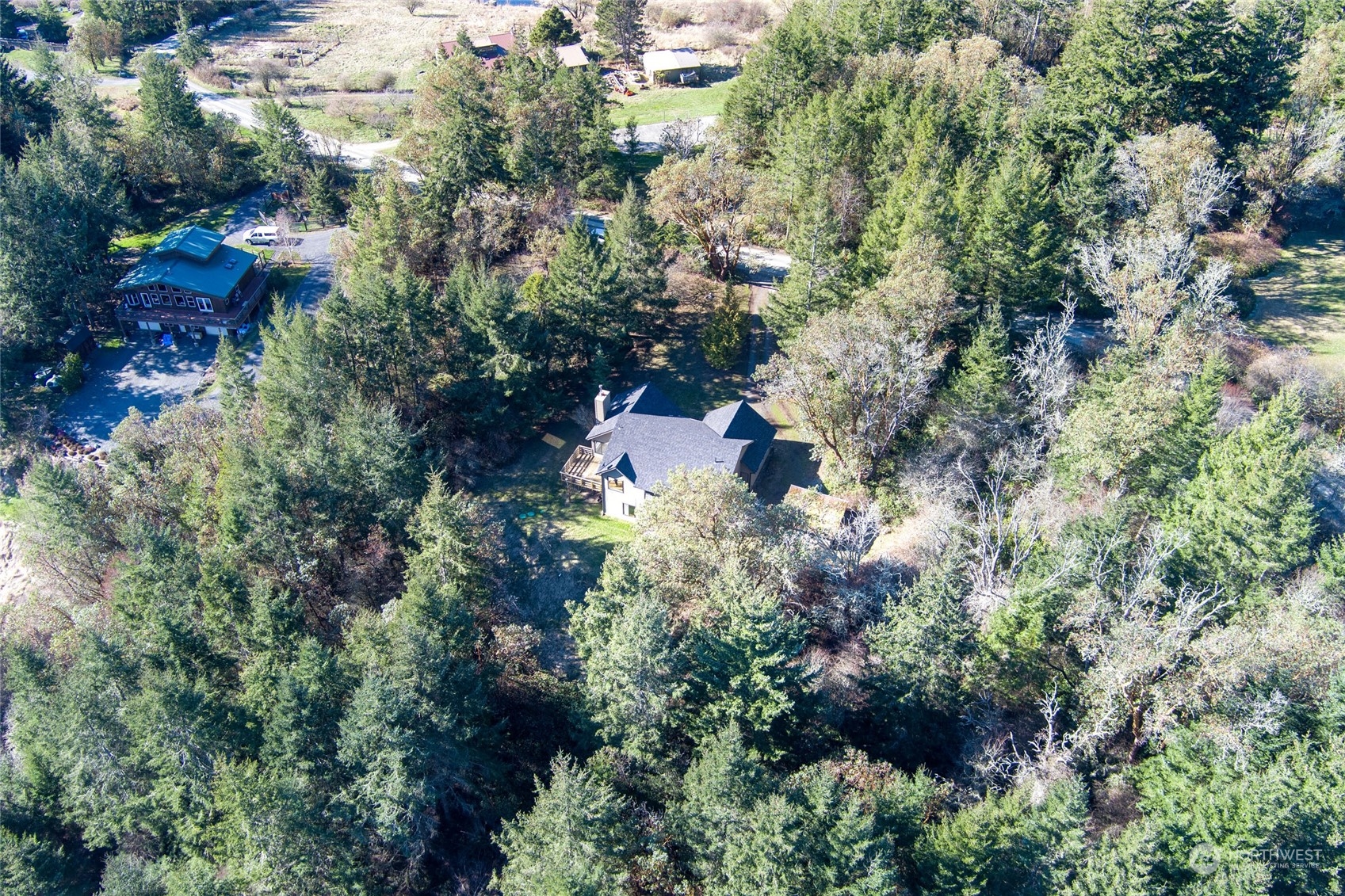 198 Ridgedale Road Friday Harbor, WA 98250 - Photo 38 of 39 an aerial view of residential house with outdoor space and trees all around
