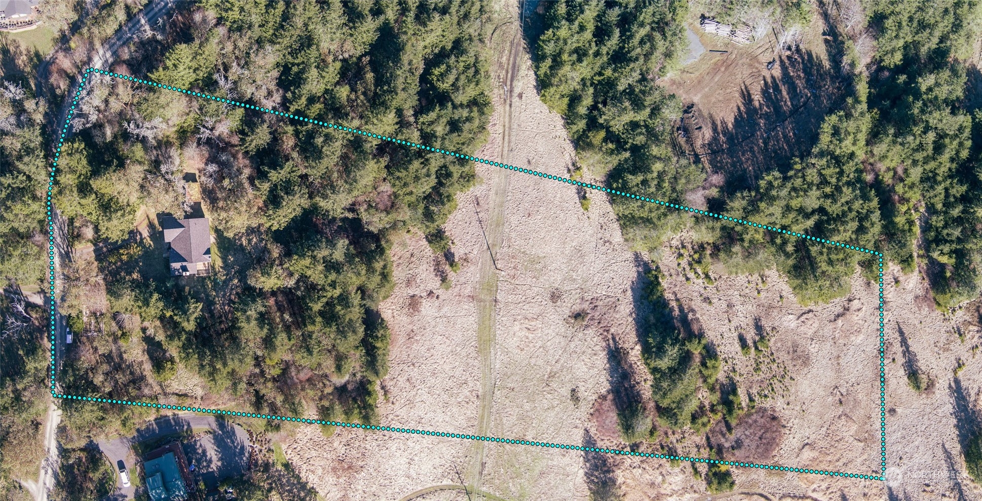 198 Ridgedale Road Friday Harbor, WA 98250 - Photo 7 of 39 a picture of tree