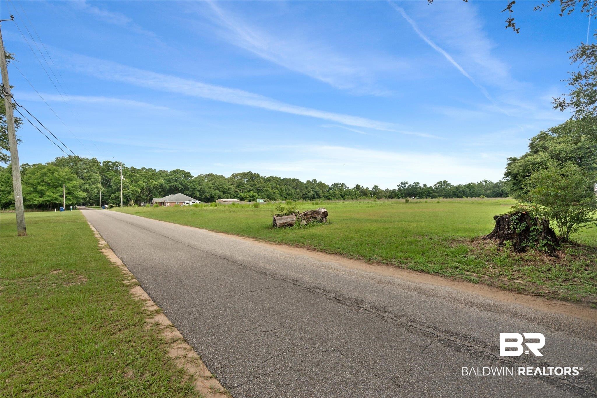 10000 Wells Road North Theodore, AL 36582 - Photo 16 of 17 View of road
