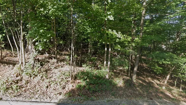 $80,000 | Lt17-18 Forest Drive, Geneva, WI 53147