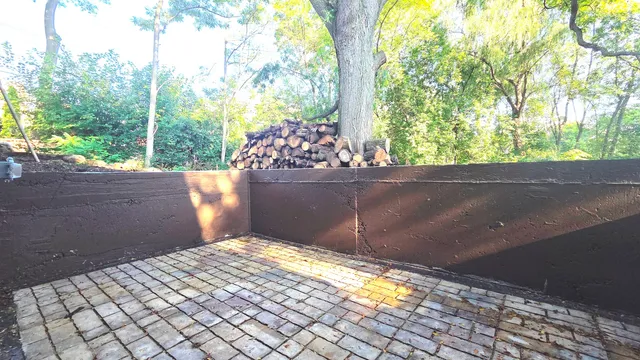 a view of a yard with plants and large trees
