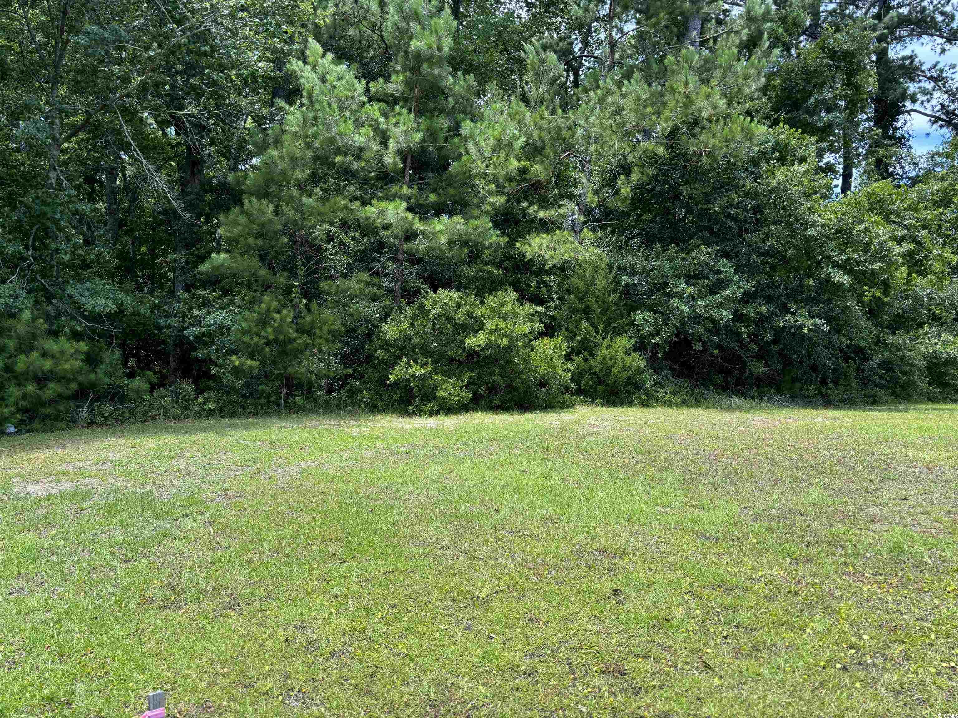 801 Commanders Island Road Georgetown, SC 29440 - Photo 2 of 25 Gallery Image 2