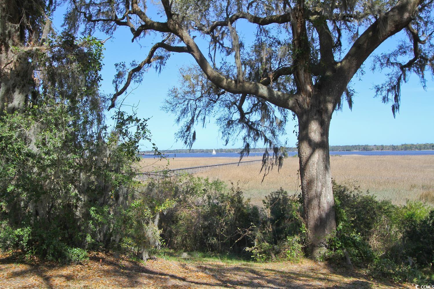801 Commanders Island Road Georgetown, SC 29440 - Photo 21 of 25 Gallery Image 21