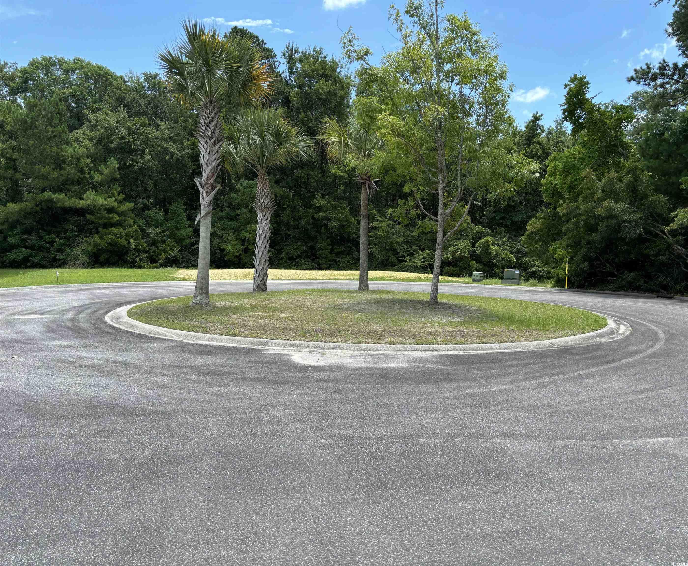 801 Commanders Island Road Georgetown, SC 29440 - Photo 3 of 25 Gallery Image 3