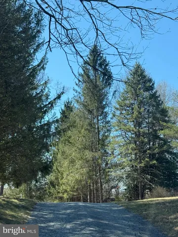 a view of outdoor space with trees